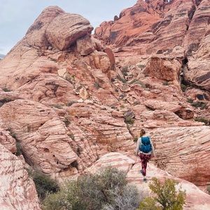 Meet your Posher, Audrey